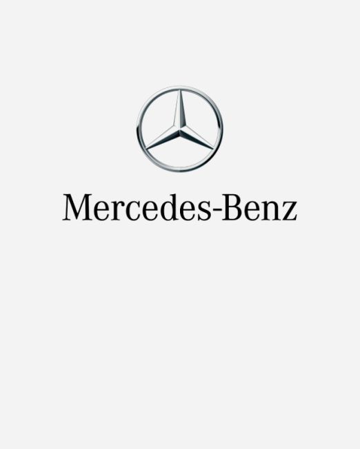 Mercedes Benz Van Shelving