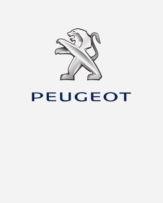 Peugeot Van Shelving