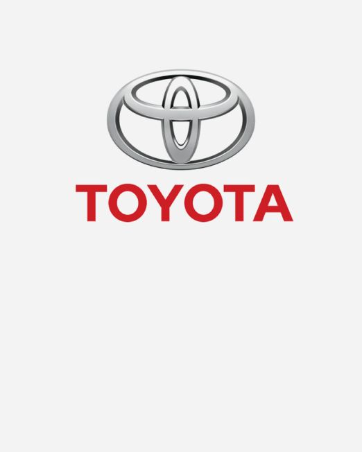 Toyota Van Shelving