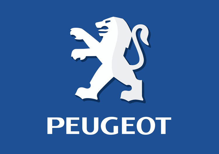 Peugeot Van Shelving
